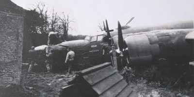 42-7537, Jungle Princess