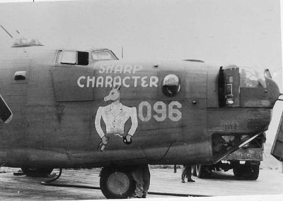 Sharp Character 42-110096