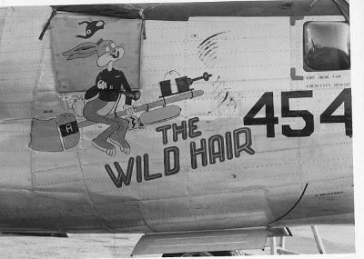 The Wild Hair