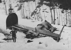 Tail section wreckage