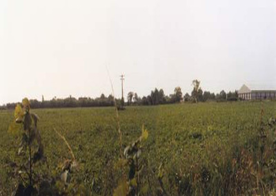 image071