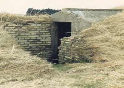 site13-2