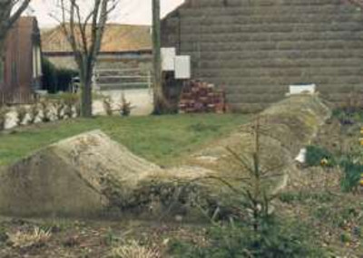 site8-8