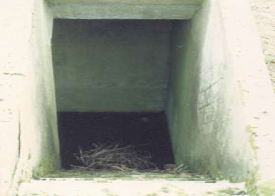 site8-9